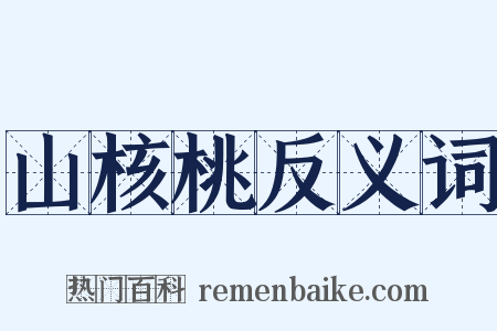 山核桃反义词是什么意思的图片